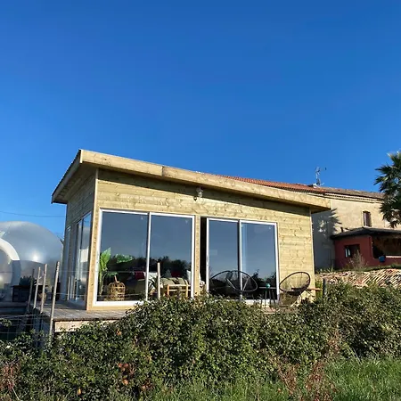 Bubulles Dans Les Vignes Le Fieu (Gironde)