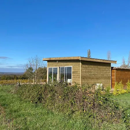 Bubulles Dans Les Vignes Le Fieu (Gironde)