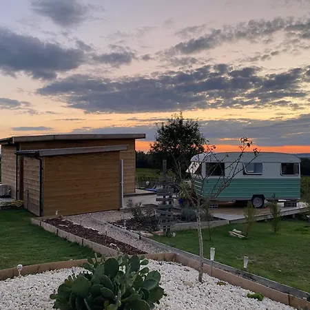 Bubulles Dans Les Vignes *