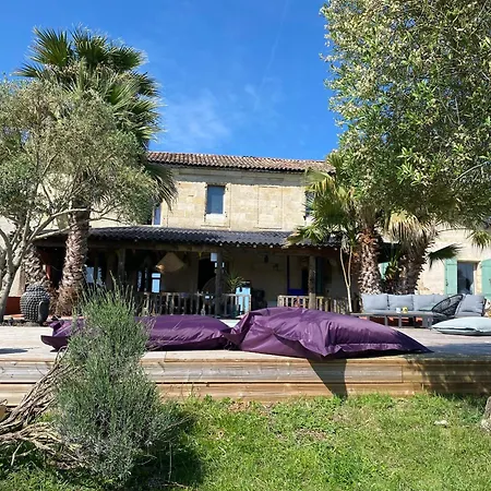 Bubulles Dans Les Vignes