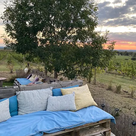 Bubulles Dans Les Vignes Domek alpejski