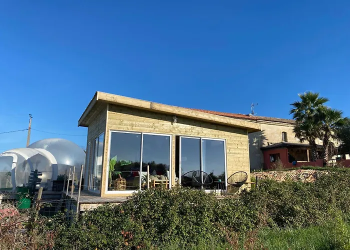 Bubulles Dans Les Vignes Le Fieu (Gironde)