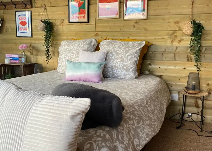 Bubulles Dans Les Vignes * Le Fieu (Gironde)