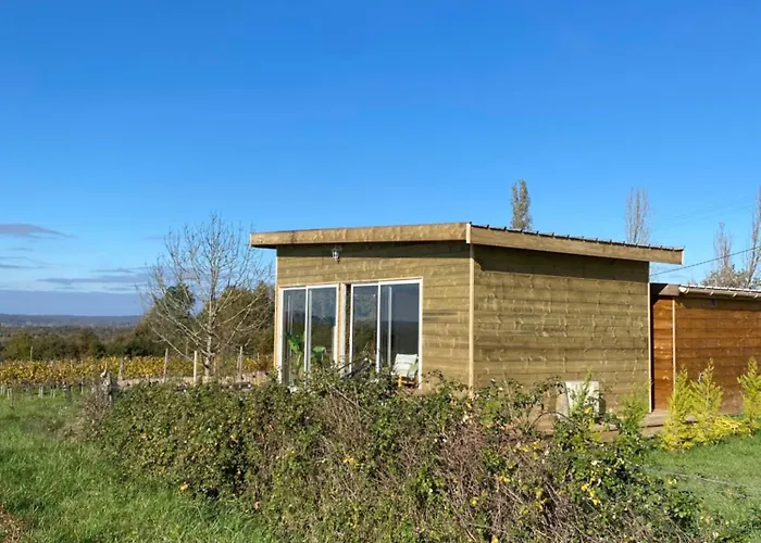 Bubulles Dans Les Vignes Le Fieu (Gironde)
