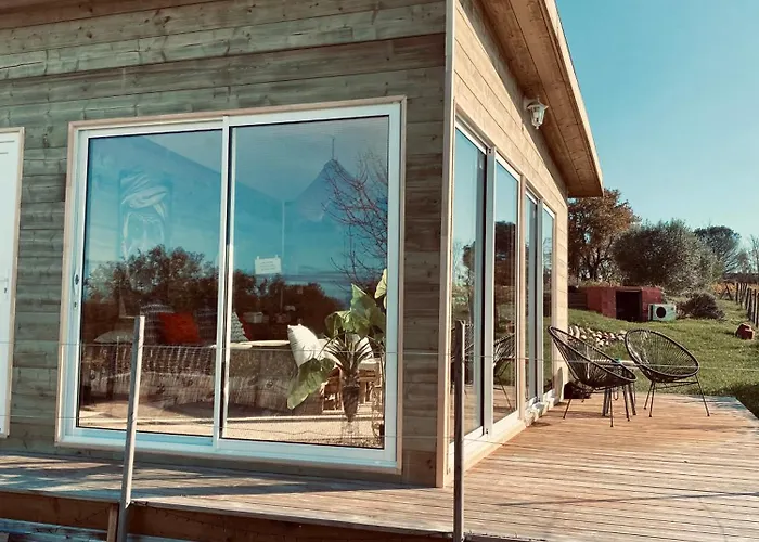 Bubulles Dans Les Vignes Alpehytte *