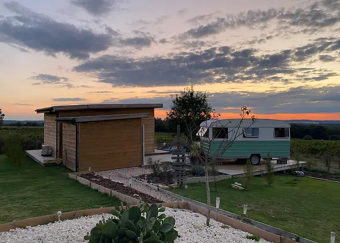 Bubulles Dans Les Vignes *