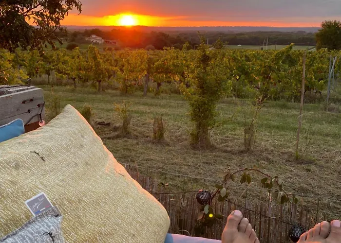 Bubulles Dans Les Vignes Alpehytte