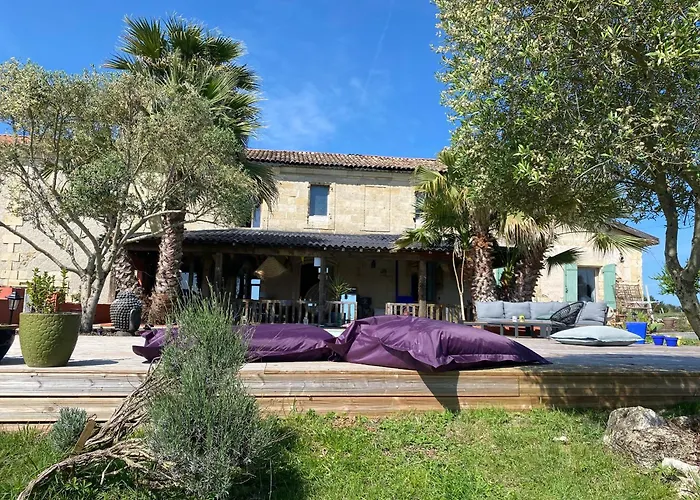 Bubulles Dans Les Vignes