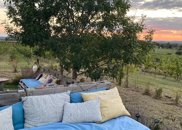 Bubulles Dans Les Vignes Alpehytte